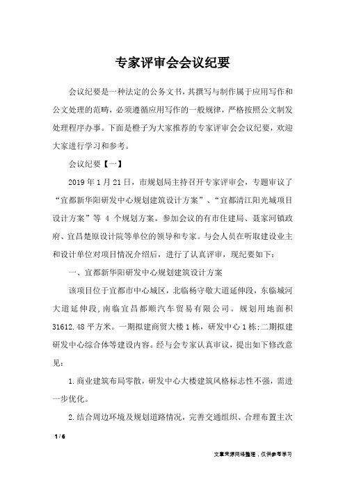 专家评审会会议纪要_行政公文