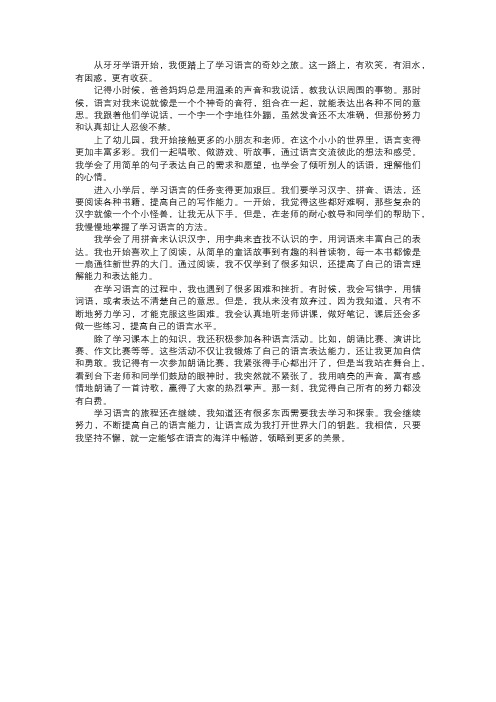 我学习的语言之旅