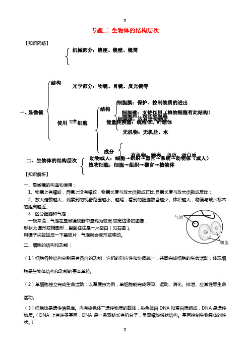 中学中考生物专题复习 专题二 生物体的结构层次 新人教版