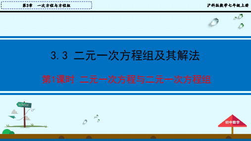 沪科版七年级数学上册3.3 第1课时 二元一次方程与二元一次方程组