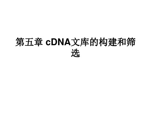 第五章_cDNA文库的构建