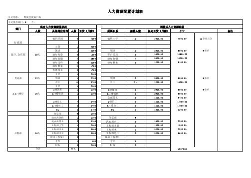 人力资源配置计划表