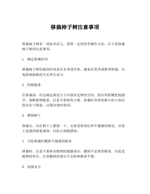 移栽柿子树注意事项