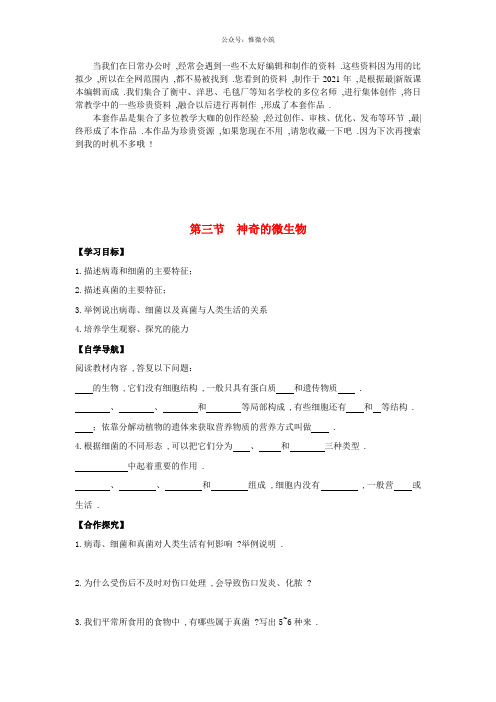 《神奇的微生物》word版 公开课获奖教案 (1)