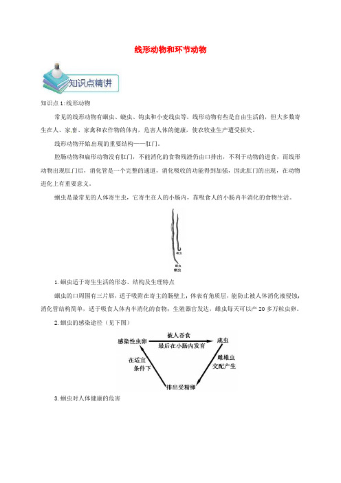 2018年八年级生物上册 第一章 第二节 线形动物和环节动物备课资料 (新版)新人教版