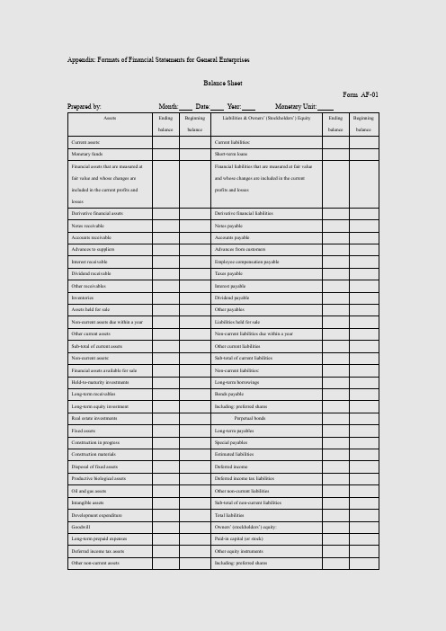 一般企业财务报表格式(英文版)