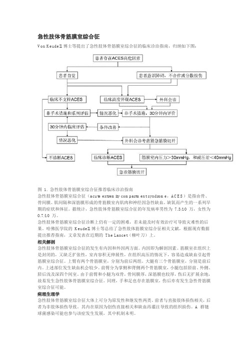 急性肢体骨筋膜室综合征