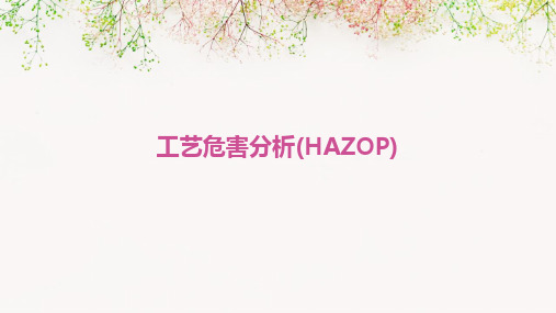 工艺危害分析(HAZOP)