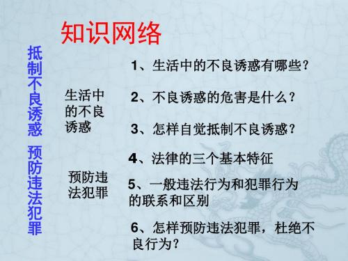 山东省高密市银鹰文昌中学七年级政治下册 第15课 抵制不良诱惑 预防违法犯罪复习课件 鲁教版