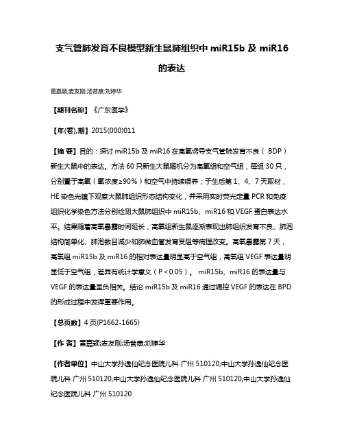 支气管肺发育不良模型新生鼠肺组织中miR15b 及 miR16的表达