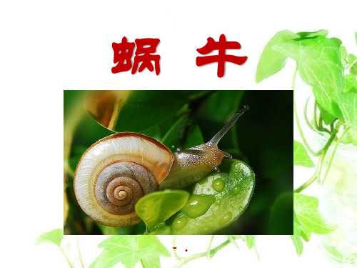 《蜗牛》动物PPT课件