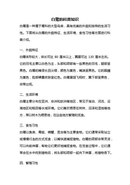 白鹭的科普知识