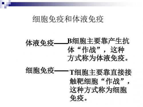 中图版 必修三 细胞免疫和体液免疫 课件(45张)