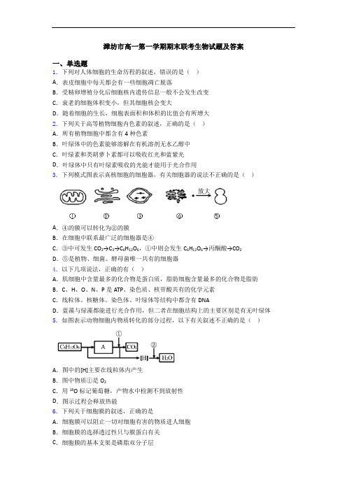 潍坊市高一第一学期期末联考生物试题及答案