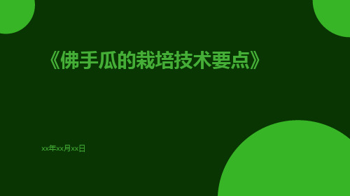 佛手瓜的栽培技术要点