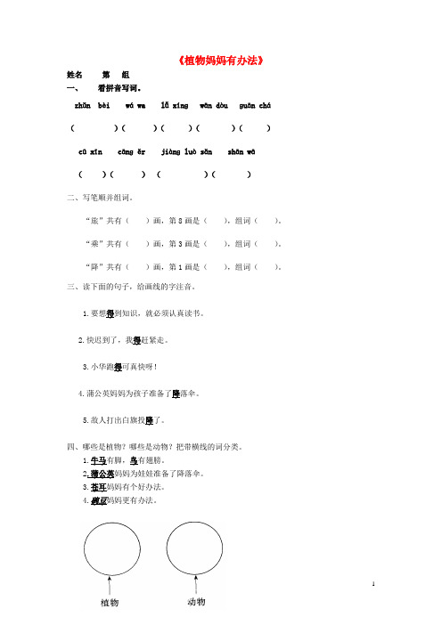 2018年二年级语文上册《植物妈妈有办法》随堂练习(无答案) 鲁教版