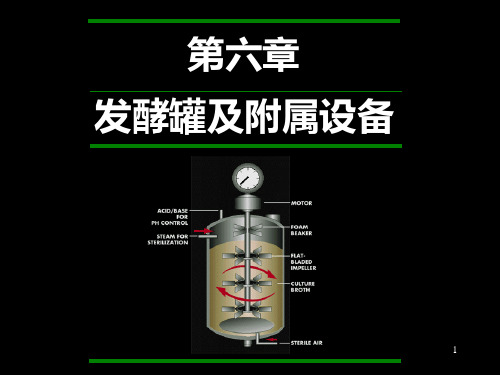 第六章发酵罐及附属设备(1)PPT课件