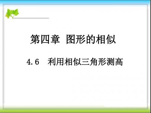 新北师大九年级上4.6 利用相似三角形测高