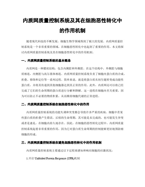 内质网质量控制系统及其在细胞恶性转化中的作用机制