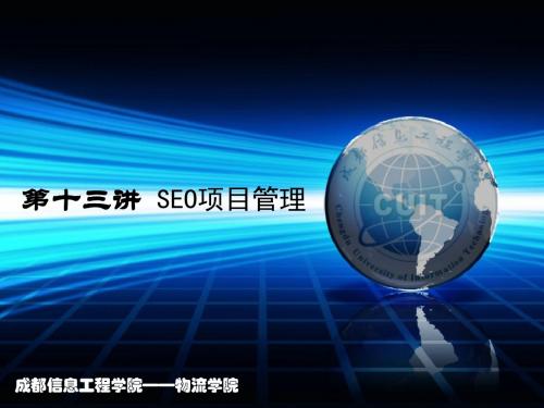 SEO实战密码第十三讲seo项目管理