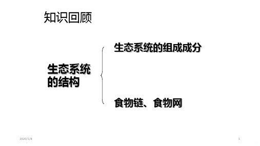 生态系统的能量流动和物质循环一轮复习PPT课件