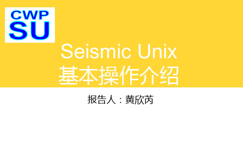 Seismic Unix简介