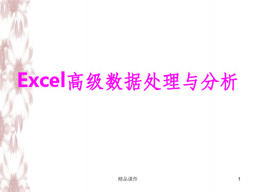 Excel电子表格高级数据处理与分析