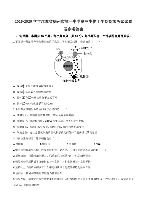 2019-2020学年江苏省徐州市第一中学高三生物上学期期末考试试卷及参考答案