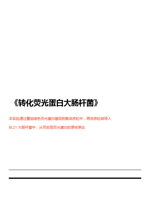 分子生物学实验总结