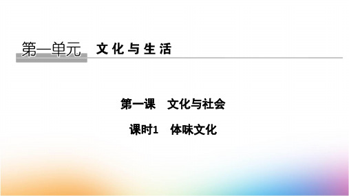 高中政治必修3优质课件：1.1 体味文化