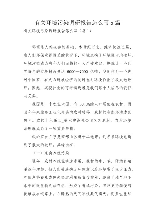 有关环境污染调研报告怎么写5篇