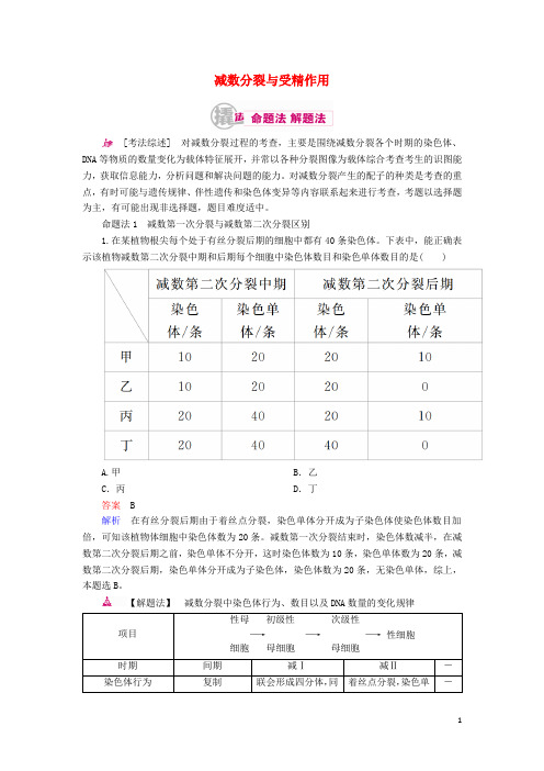 高考生物一轮复习 第四单元 遗传的细胞基础与分子基础 专题9 遗传的细胞基础 考点1 减数分裂与受精