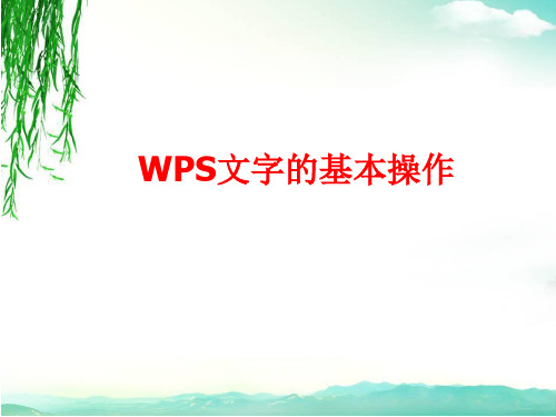 wps文字的基本操作