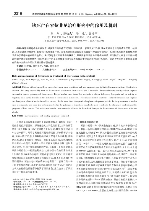 铁死亡在索拉非尼治疗肝癌中的作用及机制 陈 翔