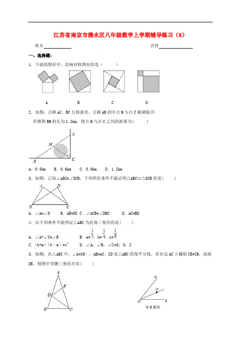江苏省南京市溧水区八年级数学上学期辅导练习(8)(无答案) 苏科版