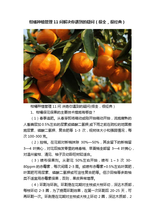 柑橘种植管理11问解决你遇到的疑问（很全，很经典）