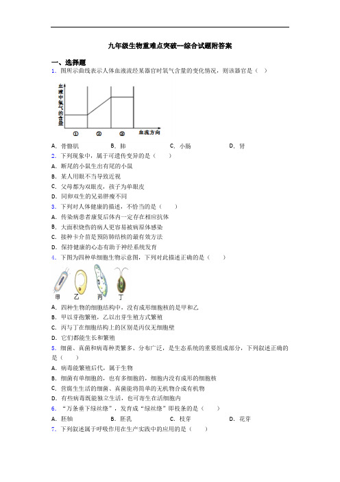 九年级生物重难点突破--综合试题附答案