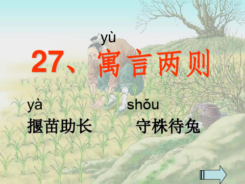 27《寓言两则：揠苗助长、守株待兔》ppt课件2