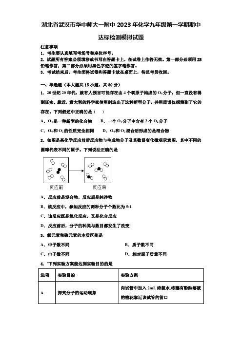 湖北省武汉市华中师大一附中2023年化学九年级第一学期期中达标检测模拟试题含解析