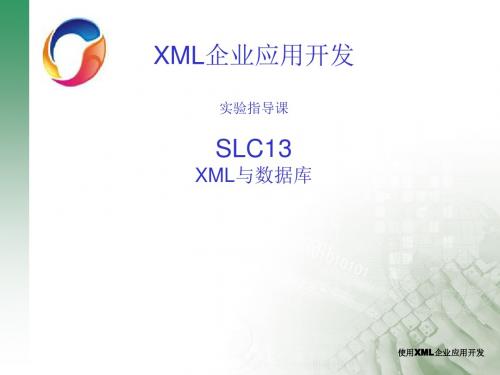 实验13-XML与数据库-slc13(SN3005)