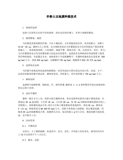 早春土豆地膜种植技术