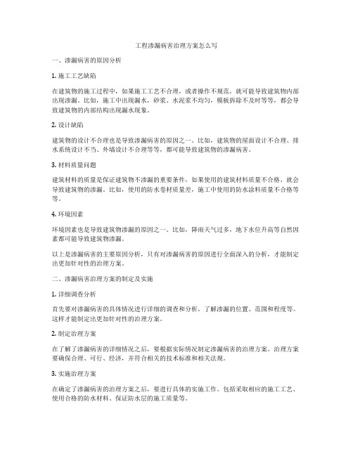 工程渗漏病害治理方案怎么写