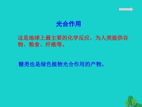 [精品课件]江苏省铜山县高中化学 专题3 有机化合物的获得与应用 3.2.1 糖类(5)课件 苏教版必修2