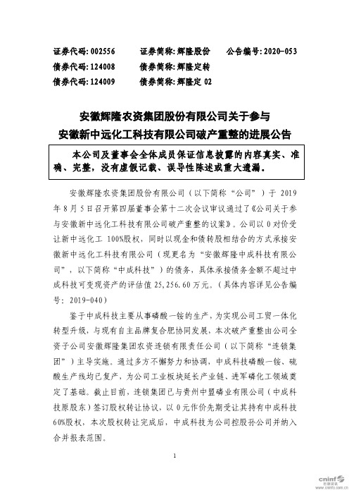 辉隆股份：关于参与安徽新中远化工科技有限公司破产重整的进展公告