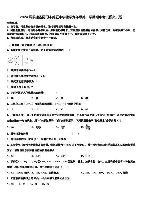 2024届福建省厦门市第五中学化学九年级第一学期期中考试模拟试题含解析