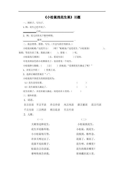 《小松鼠找花生果》习题2