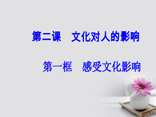 高中政治第一单元文化与生活第二课文化对人的影响第一框感受文化影响课件新人教版必修