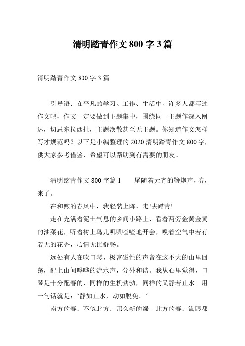 清明踏青作文800字3篇