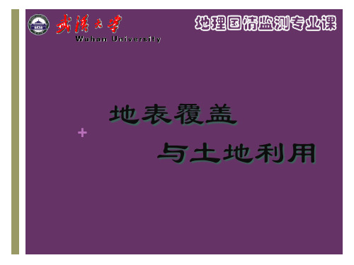 第六章 地表覆盖与土地利用变化监测