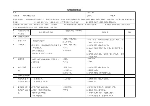 风险因素分析表